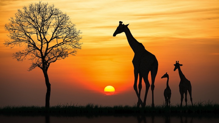 Top African Destinations For A Summer Getaway