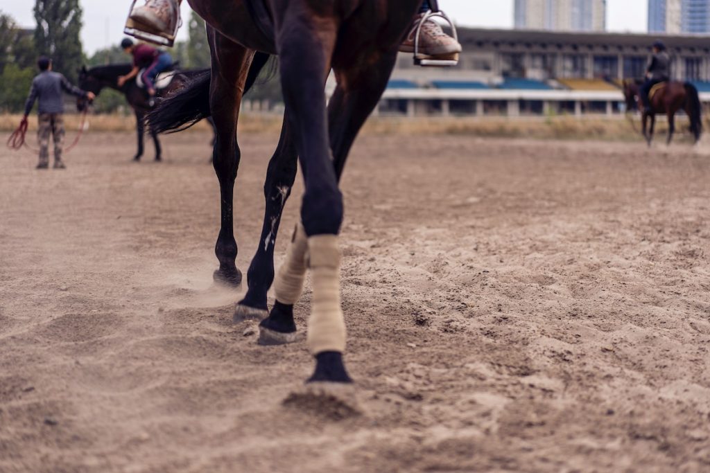 Why Experience is so Important in Horse Racing